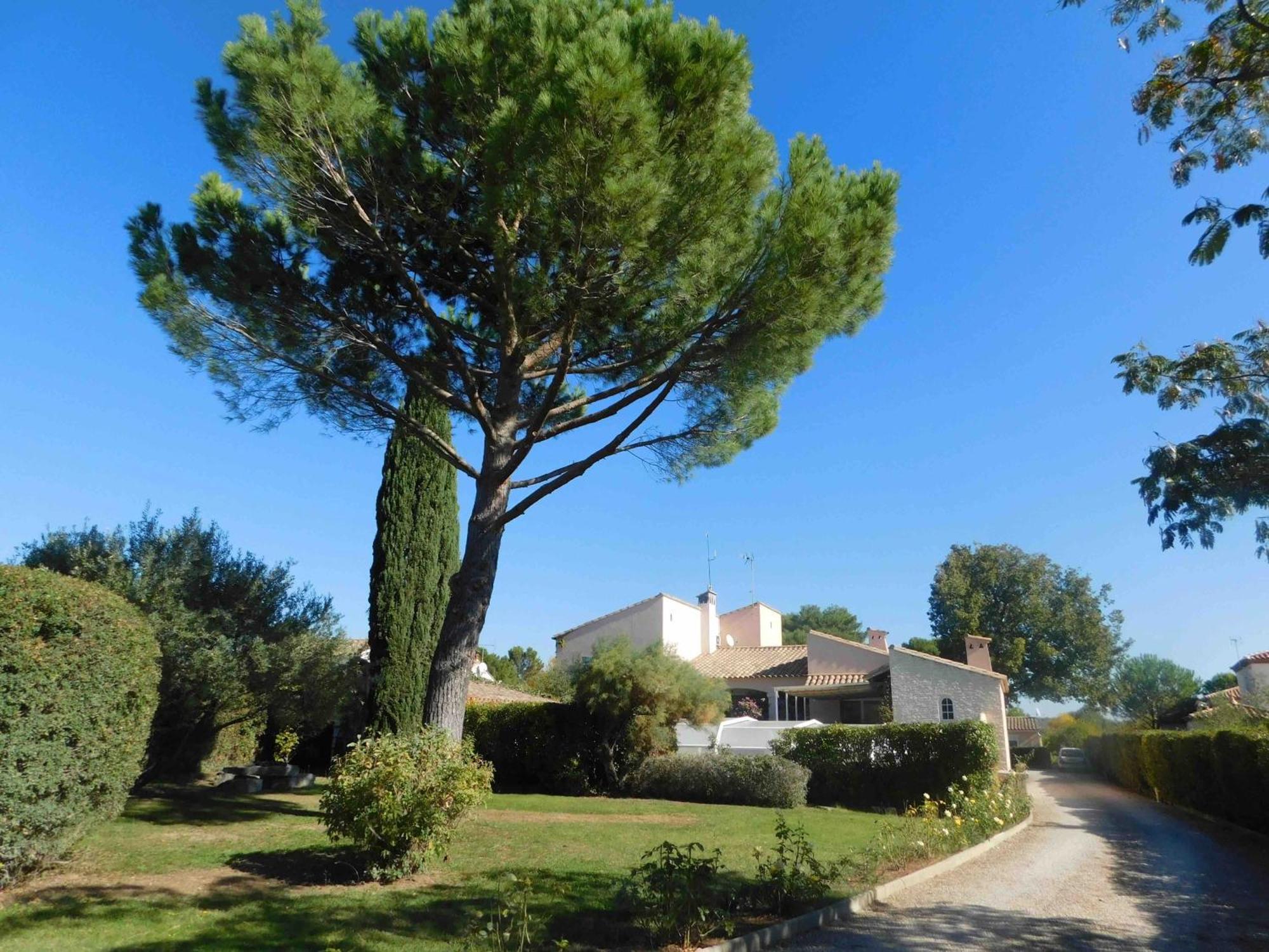 Les Bougainvillees De Camargue Villetelle Luaran gambar