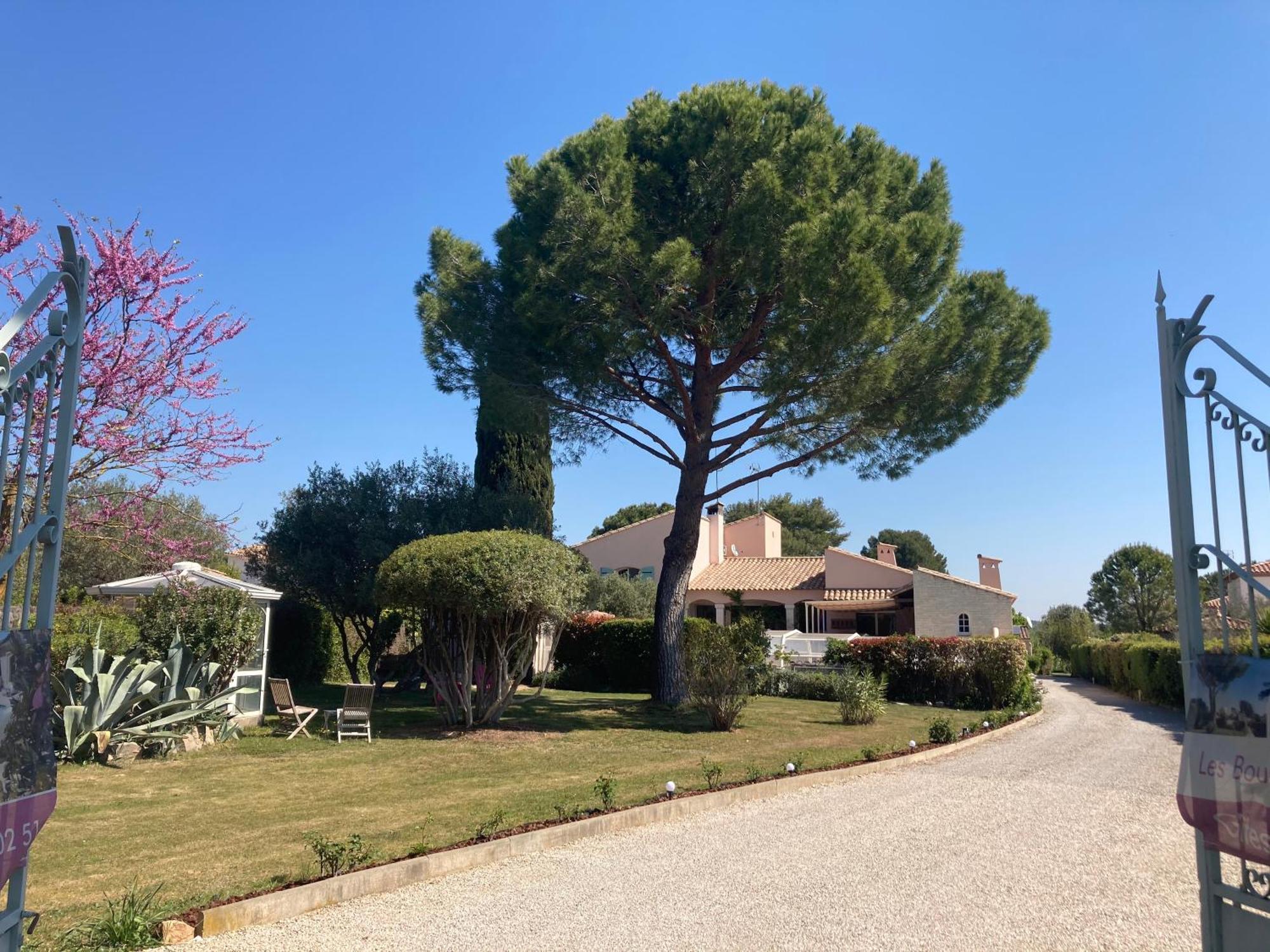 Les Bougainvillees De Camargue Villetelle Luaran gambar