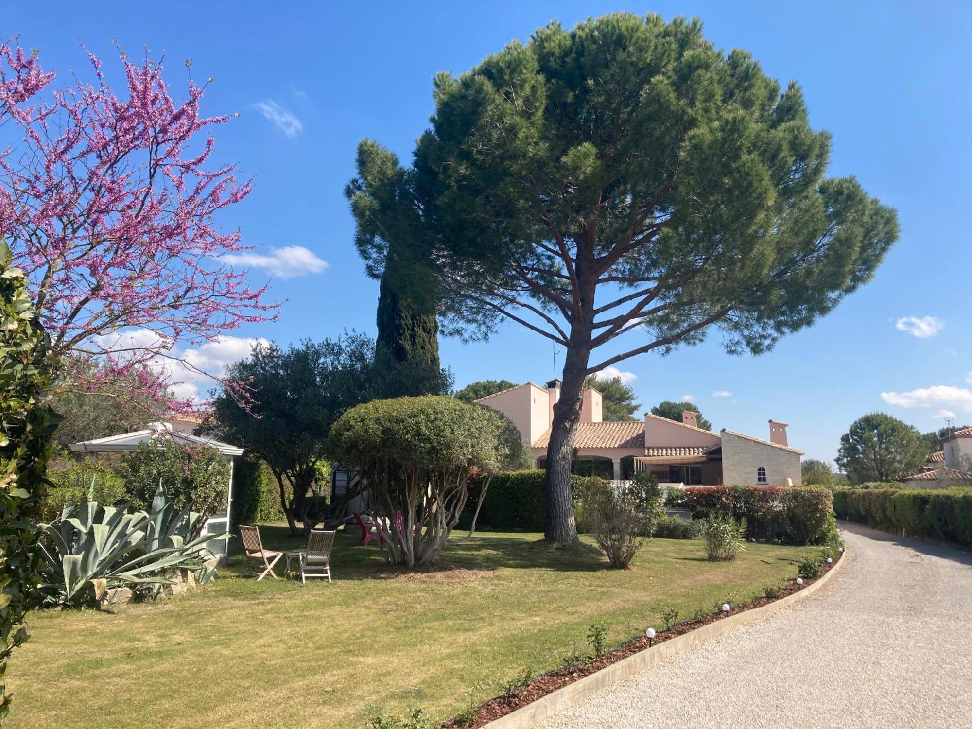Les Bougainvillees De Camargue Villetelle Luaran gambar